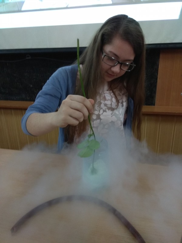 Фізичний факультет визначав кращі студентські наукові роботи